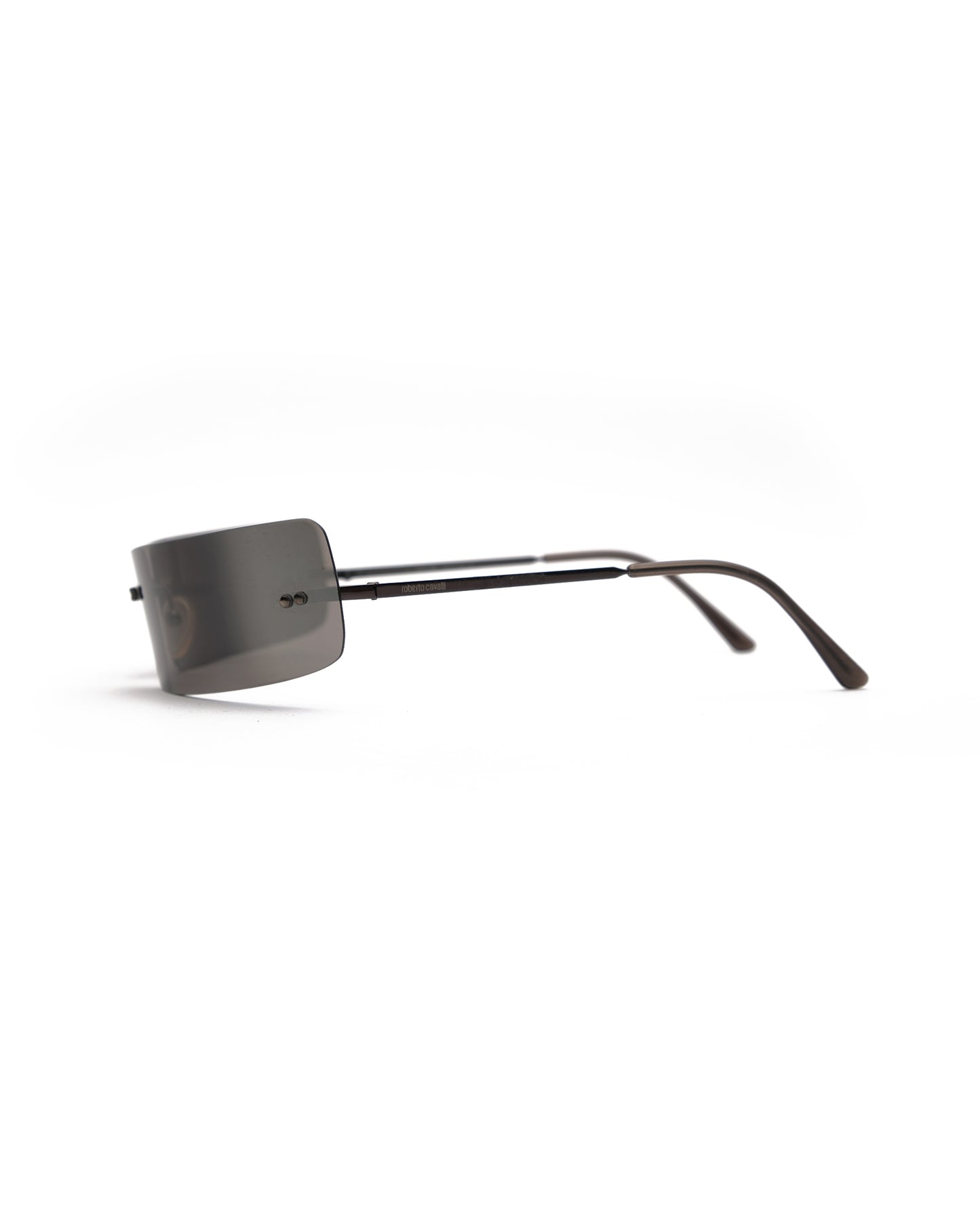 Roberto Cavalli sunglasses