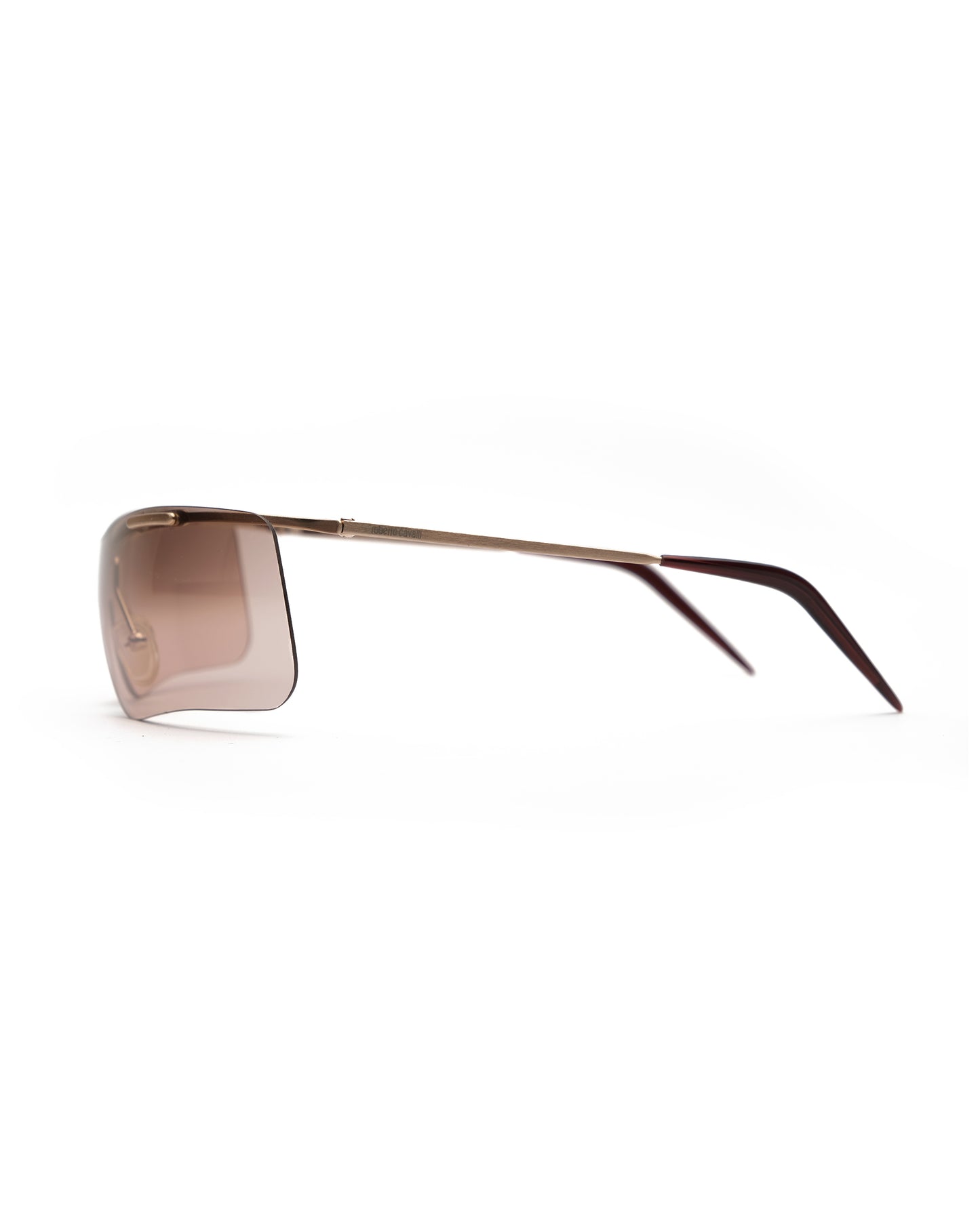 Roberto Cavalli shield